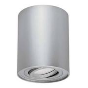 Lampy sufitowe - Ideus Sufitowa LAMPA downlight HARY 03712 okrągła OPRAWA metalowa tuba spot natynkowy srebrny 03712 - miniaturka - grafika 1
