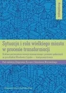 Biznes - Sytuacja i rola wielkiego miasta w procesie transformacji - miniaturka - grafika 1
