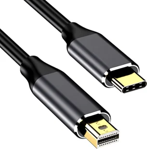 Kabel USB Reagle USB-C - mini DisplayPort 1 m Czarny - Kable USB - miniaturka - grafika 1