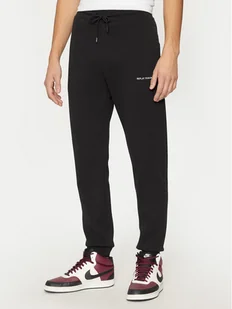 REPLAY Spodnie dresowe M9008 .000.23655 Czarny Regular Fit - Spodnie sportowe męskie - miniaturka - grafika 1