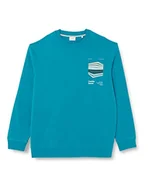 Bluzy męskie - s.Oliver Bernd Freier GmbH & Co. KG Bluza męska, długi rękaw, niebiesko-zielona, 4XL, Niebieski zielony - miniaturka - grafika 1