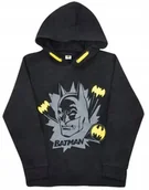Bluzy dla dziewczynek - Bluza dziecięca Batman długi rękaw 98/104 - miniaturka - grafika 1