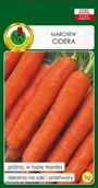 Nasiona i cebule - Marchew jadalna Cidera 5 g PNOS - miniaturka - grafika 1