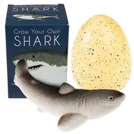 Mały naukowiec - Rex London, Rekin wykluwający się z jajka, zestaw kreatywny, Ocean - miniaturka - grafika 1
