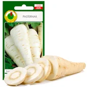Nasiona i cebule - Pasternak Półdługi Do Mrożenia 5G Nasiona Bez Gmo - miniaturka - grafika 1
