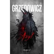 Powieści - Azyl - miniaturka - grafika 1