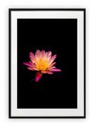 Plakaty - Plakat A4 21x30 cm  Kwiat Wiosna Roślinność   WZORY - miniaturka - grafika 1