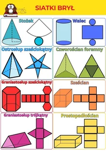 Siatki brył plansza matematyka plakat A3 - Zabawki interaktywne dla dzieci - miniaturka - grafika 1
