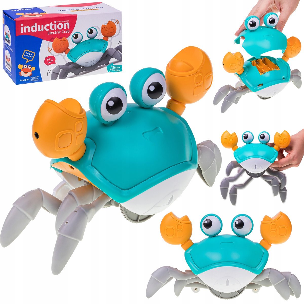 Pełzający Krab Nr:9073