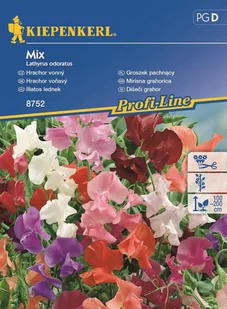 Groszek Pachnący Mix - Nasiona - Kiepenkerl - Nasiona i cebule - miniaturka - grafika 1