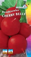 Nasiona i cebule - Rzodkiewka Cherry Belle 10g / L / - miniaturka - grafika 1