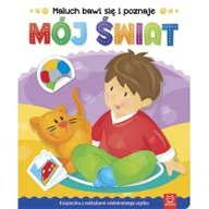 Książki edukacyjne - Maluch bawi się i poznaje. Mój $424wiat - miniaturka - grafika 1