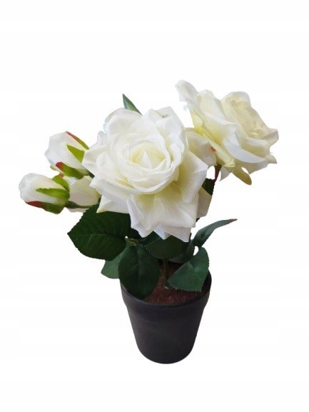 BUKIET KWIATÓW W DONICZCE - 28 CM RÓŻE BIAŁA