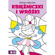 Książki edukacyjne - Koloruję według kodu. Księżniczki i wróżki - miniaturka - grafika 1