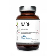 Przeziębienie i grypa - NutriScence NADH dinukleotyd nikotynoamidoadeninowy (60 kapsułek) - NutriScience B8F1-513DE - miniaturka - grafika 1