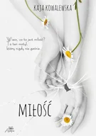 Pozostałe książki - Chaos Artistic Laboratories Miłość - miniaturka - grafika 1