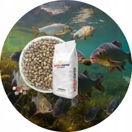 Nasiona i cebule - ŁUBIN ziarna ZANĘTA, przynęta, karma 5 kg - miniaturka - grafika 1