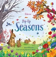 Pozostałe książki - USBORNE Pop-Up Seasons - miniaturka - grafika 1
