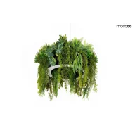 Lampy sufitowe - Moosee lampa wisząca gardens 50 czarna MSE1501100557 - miniaturka - grafika 1