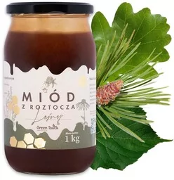 Miód leśny nektarowo spadziowy 1 kg spadź liściasta miody z Roztocza - Miód - miniaturka - grafika 1