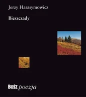 Poezja - Bieszczady - miniaturka - grafika 1