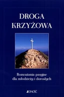 Religia i religioznawstwo - Droga Krzyżowa. Rozważania Pasyjne dla Młodzieży i Dorosłych - miniaturka - grafika 1