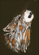 Plakaty - Galeria Plakatu, Feathered Wolf, 40x50 cm - miniaturka - grafika 1