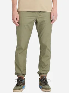 Spodnie męskie Timberland TB0A6V8P L Khaki (197063756217). Spodnie męskie - Spodnie męskie - miniaturka - grafika 1