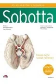 Książki medyczne - Atlas anatomii człowieka Sobotta Tom 3 Łacińskie mianownictwo Głowa, szyja i układ nerwowy - miniaturka - grafika 1