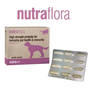 NUTRAVET Nutraflora For Dogs & Cats 12kaps - Probiotyk o wysokiej sile wspomagający codzienne zdrowie jelit i odporności - Suplementy i witaminy dla psów - miniaturka - grafika 1