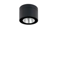Lampy ogrodowe - Oprawa sufitowa zewnętrzna NIDAROS 2123GR - Norlys - miniaturka - grafika 1