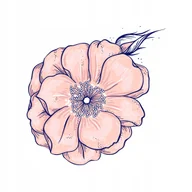 Pasmanteria - Naprasowanka Kwiaty Termo Naklejka Aplikacja - miniaturka - grafika 1