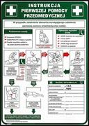 Raw-pol Znak Instrukcja Pierwszej Pomocy Z-IB13-P 250x350