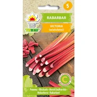 Nasiona i cebule - Rabarbar Victoria nasiona warzyw 0,5g TORAF - miniaturka - grafika 1