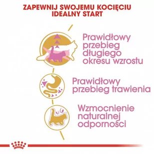 ROYAL CANIN Maine Coon Kitten 2kg + niespodzianka dla kota GRATIS! - Sucha karma dla kotów - miniaturka - grafika 4