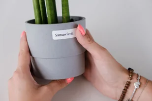 Drukarka G&G GG-AT110HW + 5x taśma do G&G WT110 HW 15x50mm 150szt. biała/czarny Zamiennik - Drukarki kart i etykiet Drukarka G&G GG-AT110HW + 5x taśma do G&G WT110 HW 15x50mm 150szt. biała/czarny Zamiennik - Drukarki kart i etykiet - miniaturka - grafika 5