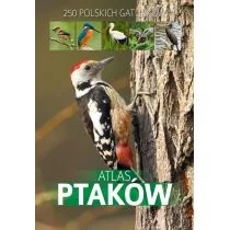 SBM Atlas ptaków - Atlasy i mapy - miniaturka - grafika 1