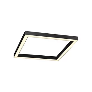 Lampa sufitowa LED 29W PURE-LINES 6022-13 Paul Neuhaus - Lampy sufitowe - miniaturka - grafika 1