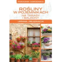 Dragon Rośliny w pojemnikach - Dragon - Dom i ogród - miniaturka - grafika 1