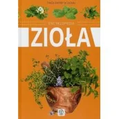 Dom i ogród - Zioła - Dragon - miniaturka - grafika 1