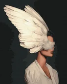 Malowanie po numerach - Malowanie po numerach 40x50cm "Lot myśli" / Twoje Hobby - miniaturka - grafika 1