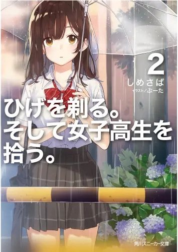 Plakat Anime hws_015 A2 (custom)
