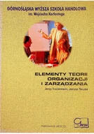 Biznes - Elementy teorii organizacji i zarządzania - miniaturka - grafika 1