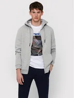 Bluzy męskie - Only & Sons Bluza Ceres 22018684 Szary Regular Fit - miniaturka - grafika 1