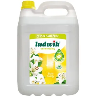 Inco-Varitas Płyn uniwersalny Ludwik mydło marsylskie 5l - Środki do kuchni i łazienki - miniaturka - grafika 1