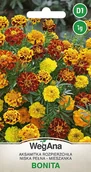 Nasiona i cebule - Aksamitka rozpierzchła Bonita mieszanaka 1g nasiona - WegAna - miniaturka - grafika 1