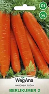 Nasiona i cebule - Marchew późna Berlikumer 2 5g nasiona- WegAna - miniaturka - grafika 1