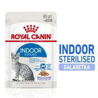 Mokra karma dla kotów - ROYAL CANIN Indoor Sterilised Adult w galaretce 12x85 g - miniaturka - grafika 1