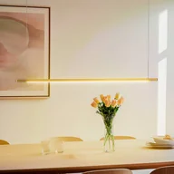 Lampy sufitowe - Quitani Talon lampa wisząca LED mosiądz eloxal 24W - miniaturka - grafika 1