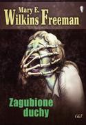 Fantasy - Freeman Wilkins Zagubione duchy - miniaturka - grafika 1